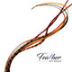 Feather Hair Extension Kit by Feather My Head. Mix of Burgundy Red feathers, brown feathers, orange feathers and green feathers. Real hair feathers in long lengths.