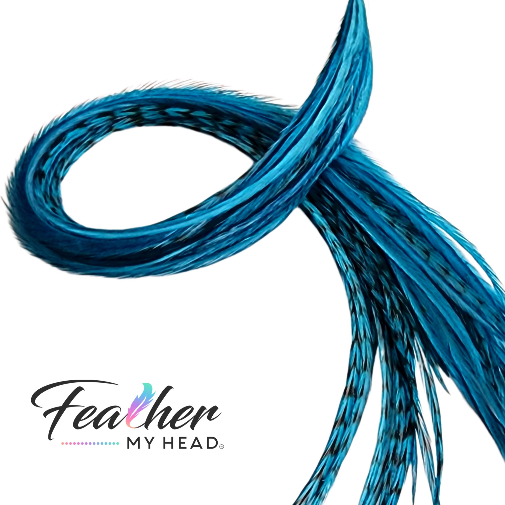 Teal Blue Hair Feather Extensions. 6 Feathers, Long Lengths and Hair  Feather Kit Available 