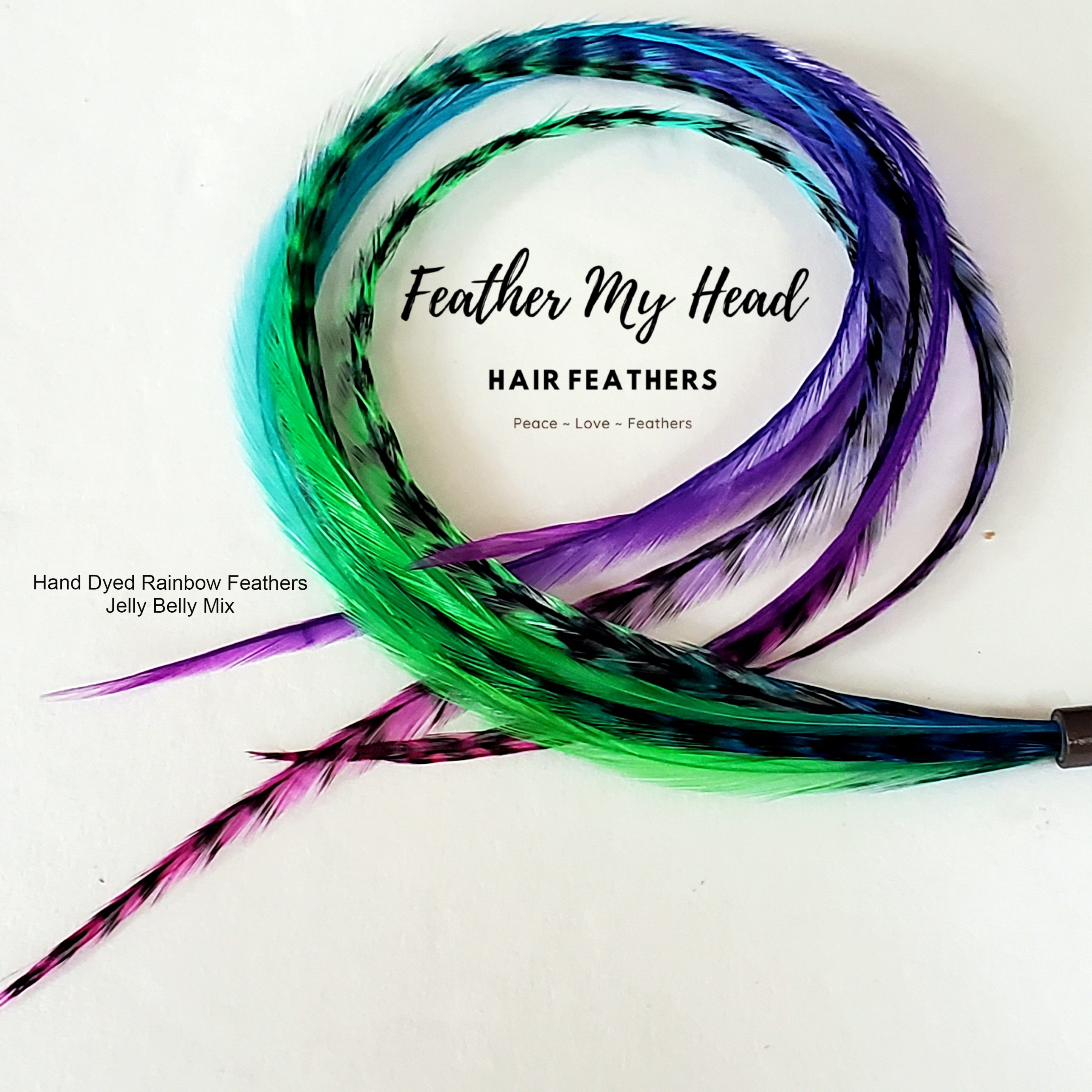 Pink and Aqua Blue Green Hair Feathers - Rainbow Feather Extensions -Pixie Dust Design