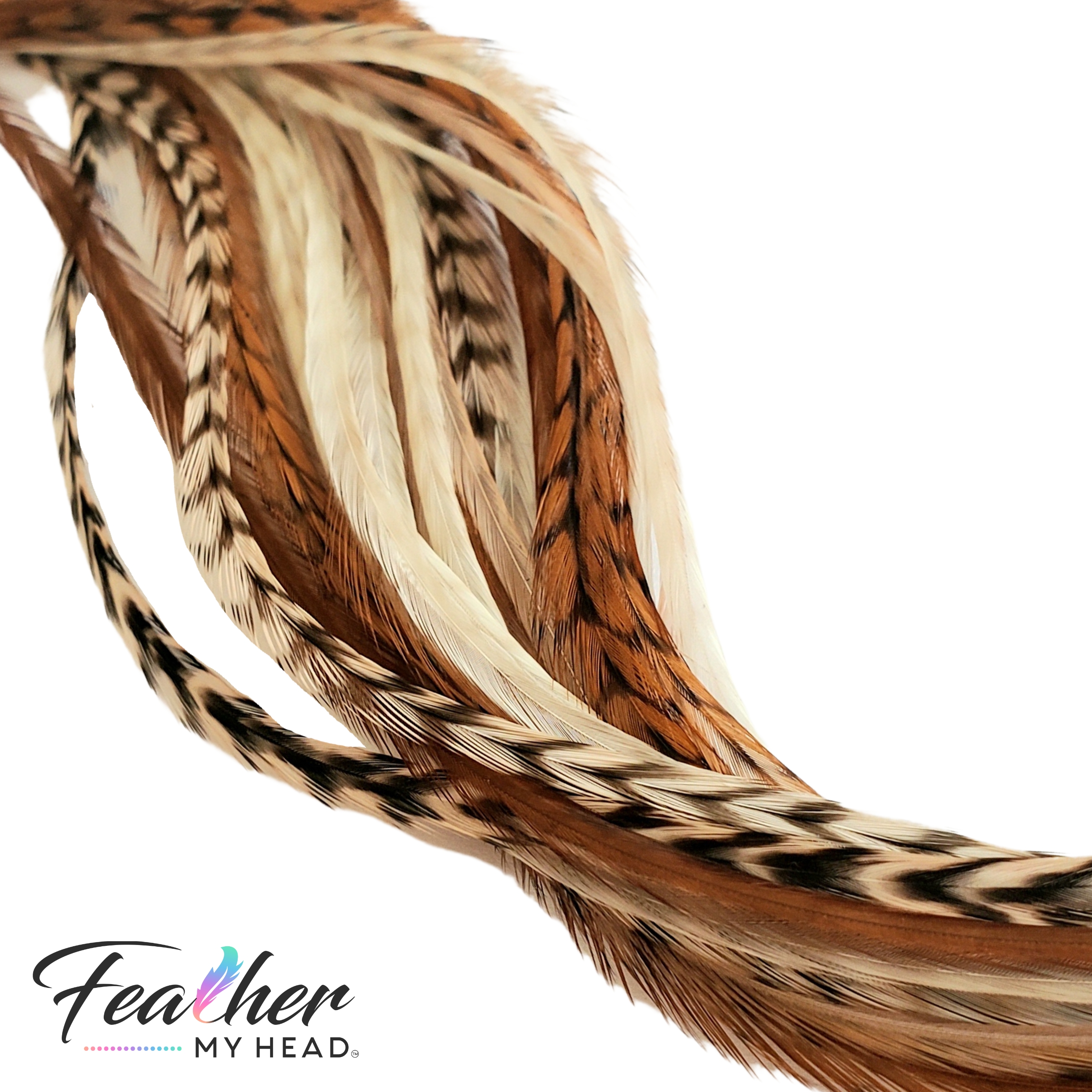 Premium Salon Starter Pack - Very Long Feathers - Multi Color - Natural and  Bright