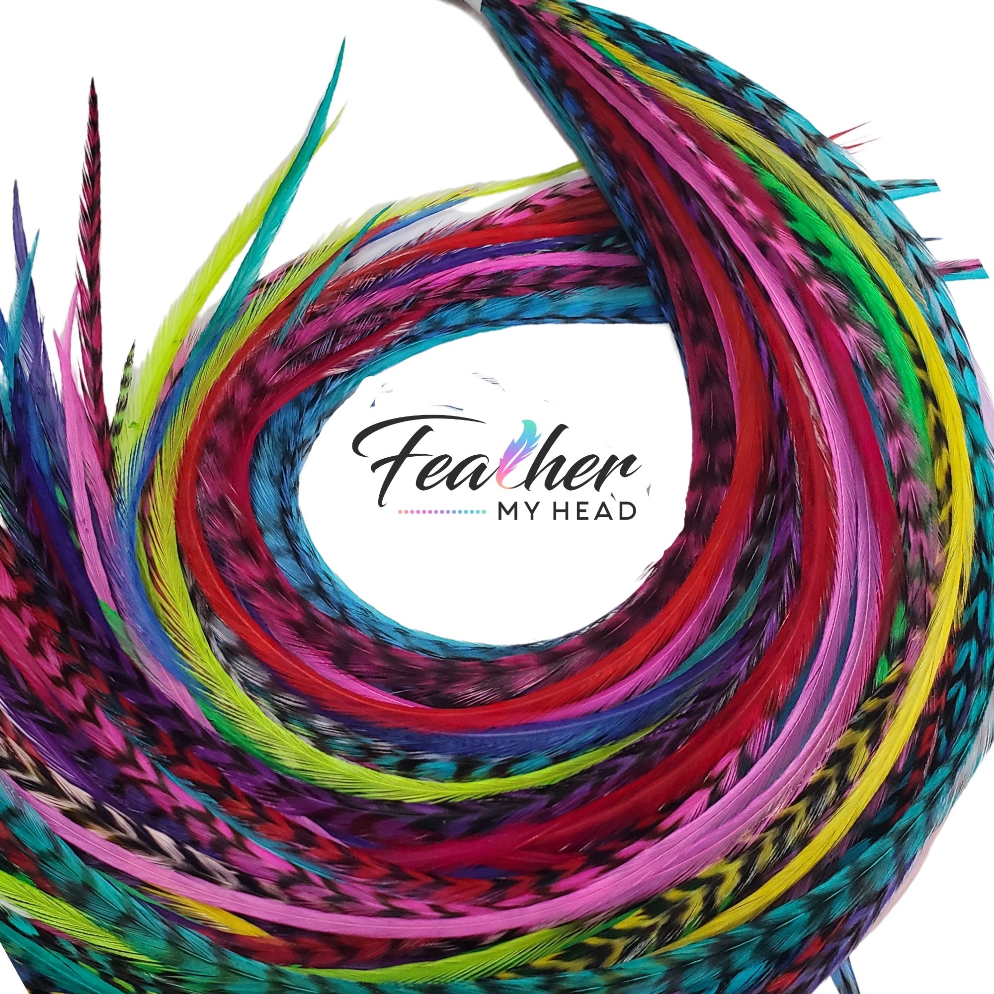 Salon Pack - Bright Hair Feathers - 100 Feather Extensions 9 to 12 Long