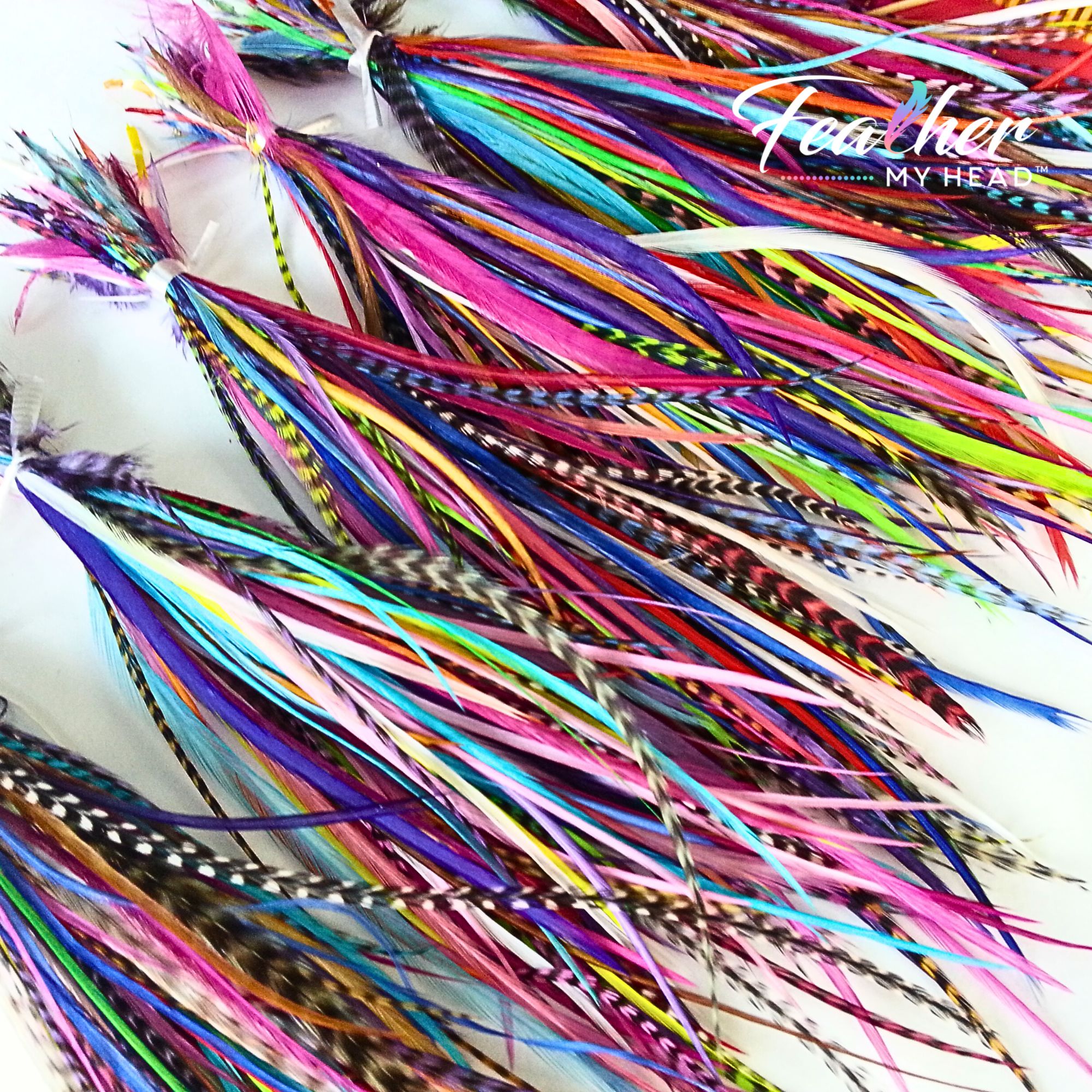 Pink and Aqua Blue Green Hair Feathers - Rainbow Feather Extensions -Pixie Dust Design