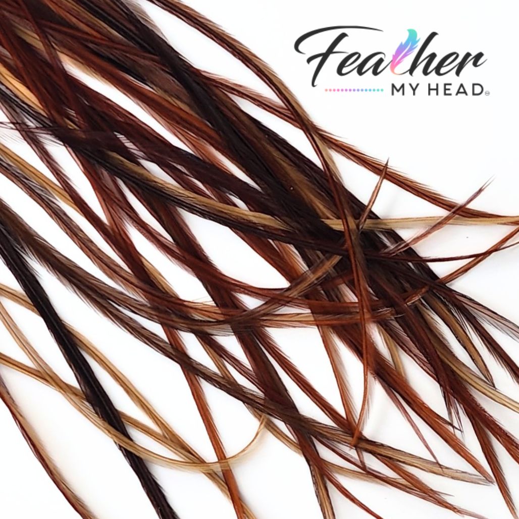 Brown Hair Feathers, Feather My Head