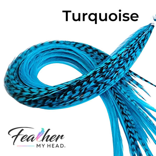 Turquoise Blue Hair Feather Extensions. Long Lengths and Hair Feather