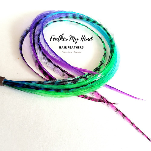 Purple Green Blue Hair Feathers - Feather Extensions, Rainbow, Jelly Belly