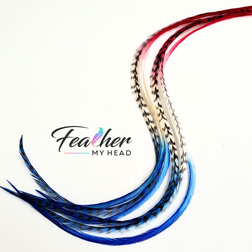 Bulk Feathers - 500 Feather Hair Extensions 