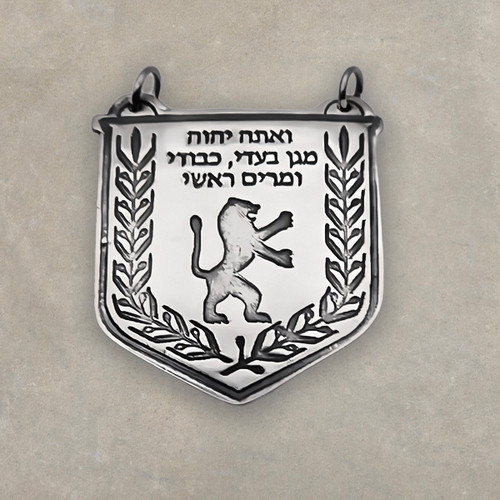 Lion of Judah. Protection Talisman