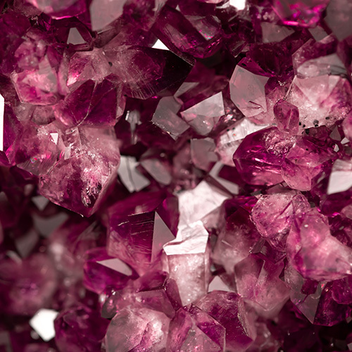GARNET