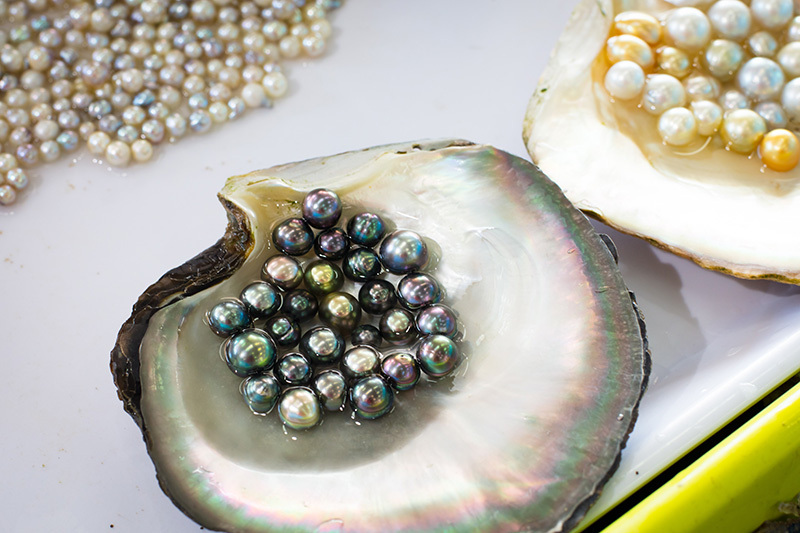 Pearls- Magical Properties