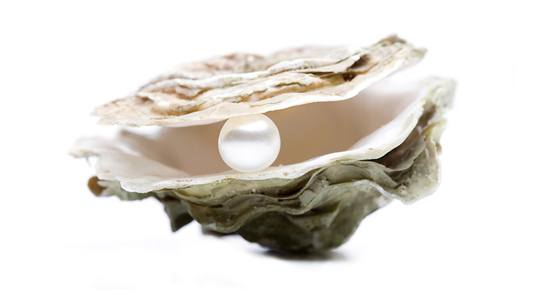 Pearls have long been cherished as symbols of happiness, wisdom, and prosperity.