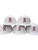 3D R on a white "the Game" snap back