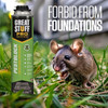 a can of Great Stuff Pro Pestblock foam sealant is shown outdoors near a mouse to demonstrate its use in preventing rodents from entering home foundations.