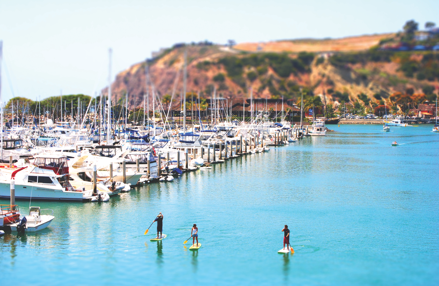 Friends paddle board together at Dana Point Harbor