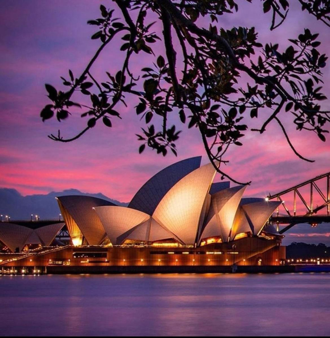 Sydney Opera House Sketch - KCBlack&White - Paintings & Prints, Buildings &  Architecture, Landmarks, Opera Houses & Theatres - ArtPal