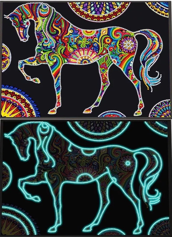 NEW 5D Horse Luminous Partial Diamond Painting Partial Drill Kit 30cm x 40cm