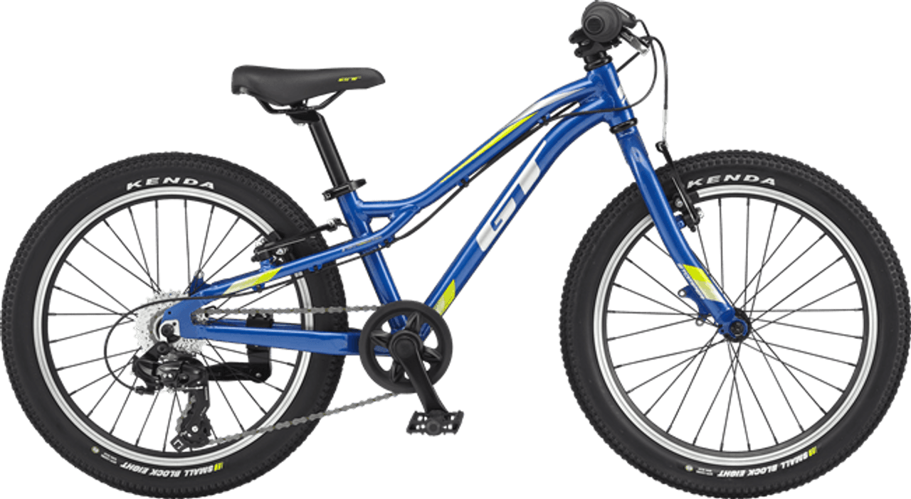 gt boys mountain bike