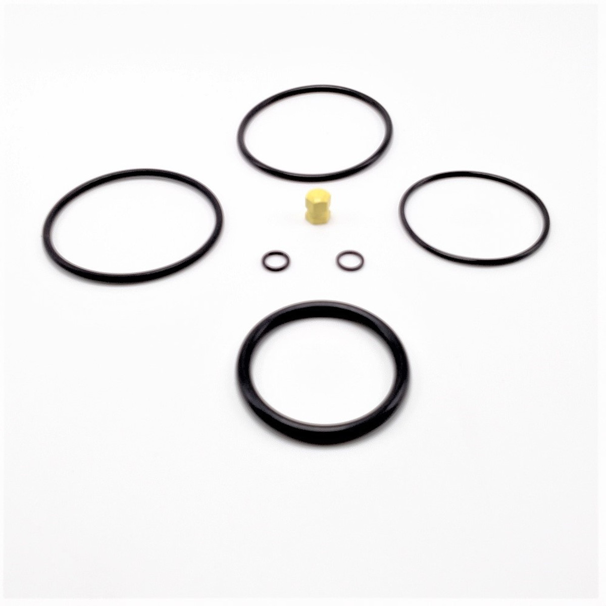 Strut Service Kit Main Gear, Cessna T303 Crusader.  104-PPCT303MSSK