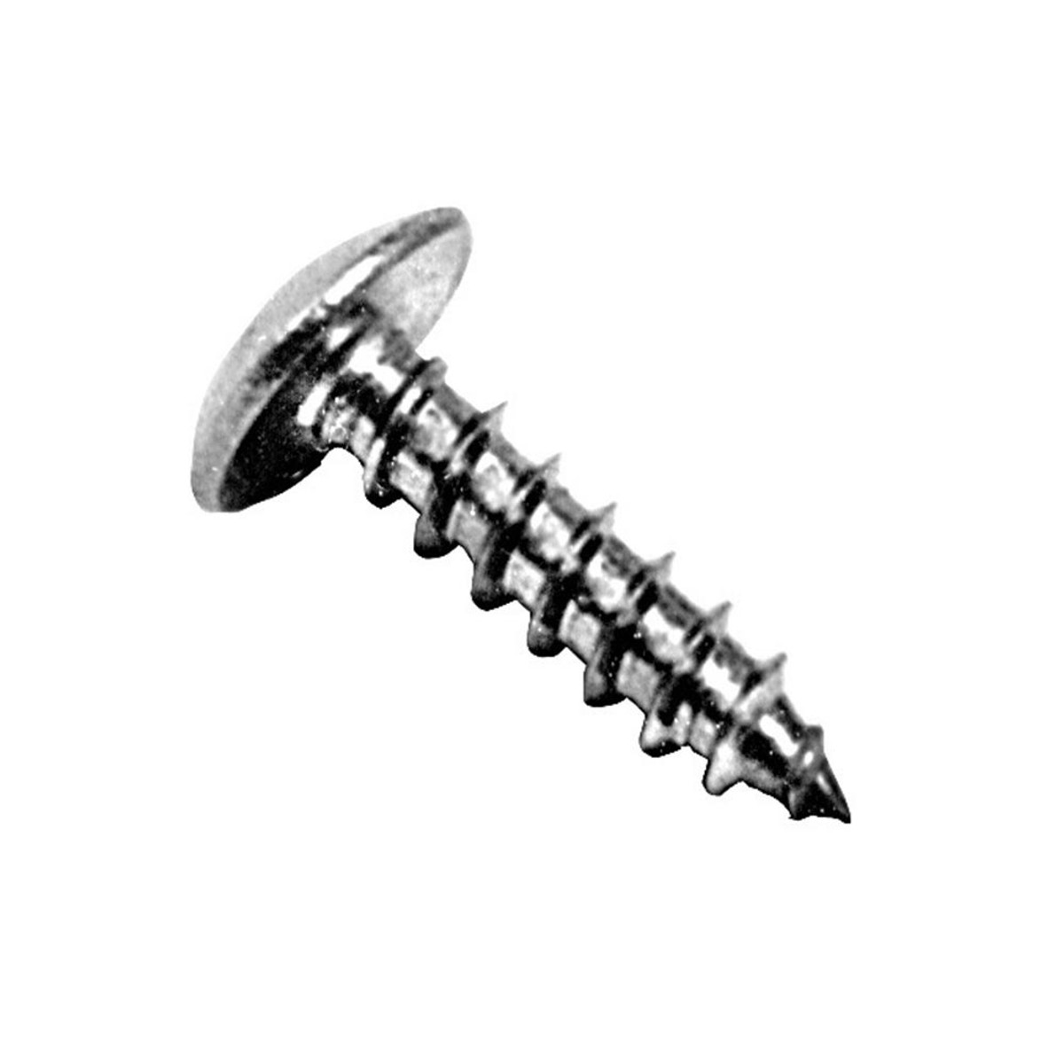 8 X 3/4 Sheet Metal Screw. Stainless Steel Truss Head. Phillips A Point