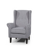  BLISS CHAIR UPHOLSTERED IN FIESTA SILVER / DARK TIMBER LEGS