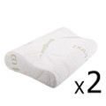 ECOLAND  (SET OF 2 ) MEMORY FOAM PILLOW WITH BAMBOO FABRIC COVER 