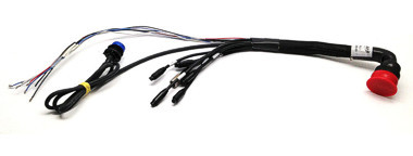 AiM 37 Pin Main Dash Harness