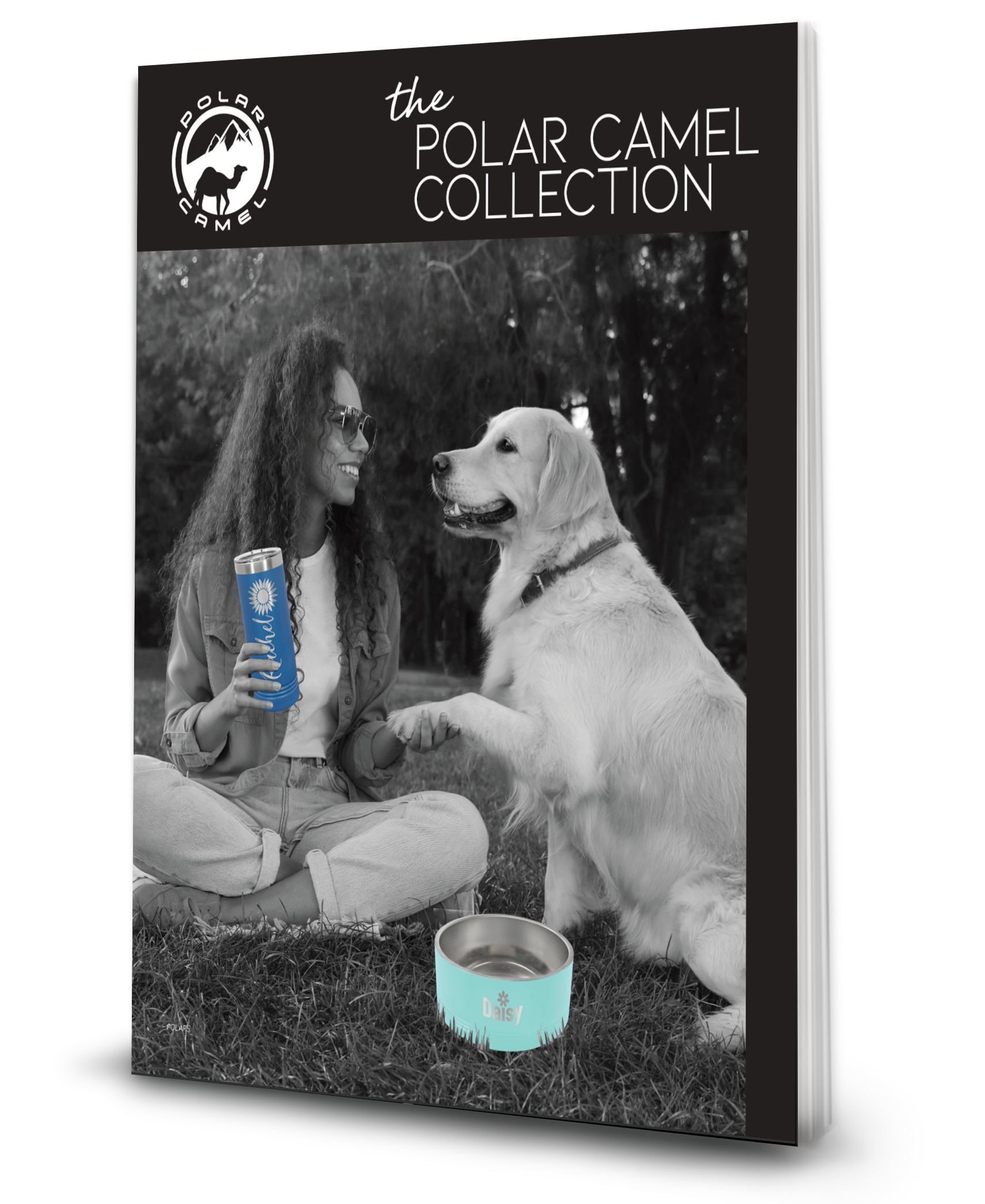 polar-camels-2024.png