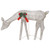 Christmas Reindeers 6 pcs Gold Warm White Mesh A949-3154246