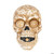 Skull door bell M680-MP13