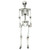 Costway 5.4ft Halloween Christmas Skeleton Life Size Realistic Full Body Hanging with Movable Joint B593-WMAP2114