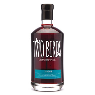 A single transparent bottle with the Two Birds name written in large white letters in the centre, with two small birds.