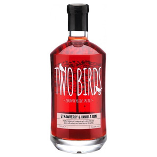 A single transparent bottle with a black closure. The Two Birds name is printed boldly in the centre in white.