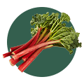 Rhubarb