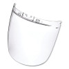 Sellstrom S32100 DP4 Series Multi-Purpose Faceshield Replacement Window Anti-Fog Clear 9 In x 12-1/8 In