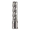 DeWalt DWAC02010 Annular Cutter, 5/8 in Cutter Dia, 2 in Cutting Depth, 2 in OAL, Bright Finish