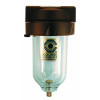 Coilhose Pneumatics 8822 15491 1/4" FILTER