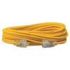 Southwire 014890002 Polar/Solar Extension Cord, 100 ft, 1 Outlet, Yellow