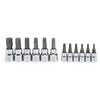 Torx Bit Socket Set, Alloy Steel, Full Polish Chrome, Torx