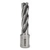 DeWalt DWAC02009 Annular Cutter, 9/16 in Cutter Dia, 2 in Cutting Depth, 2 in OAL, Bright Finish