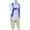 PROTECTA AB17530 First Full Body Harnesses, Back D-Ring, Pass Thru Buckle Legs,Unvrsl,Blue/Yellow