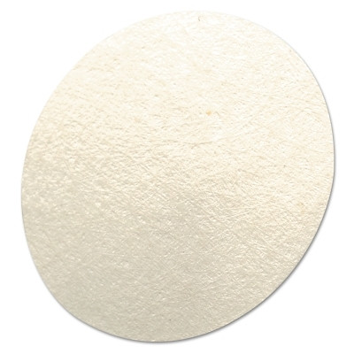 MSA 710917 Hydrophobic Filter for FiveStar Alarm & Passport Personal Alarm Gas Monitor, White