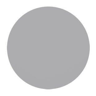 Disc, 5 Inch Dia, Silicon Carbide, 500/CS