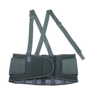 Ergodyne 11383 ProFlex 100 Economy Back Support, Medium, Black