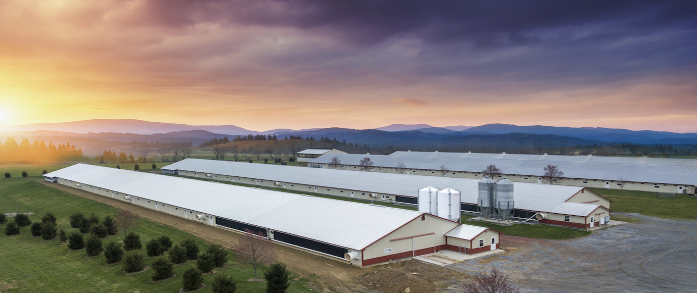 Agricultural Supplies & Construction Services Farmer Boy