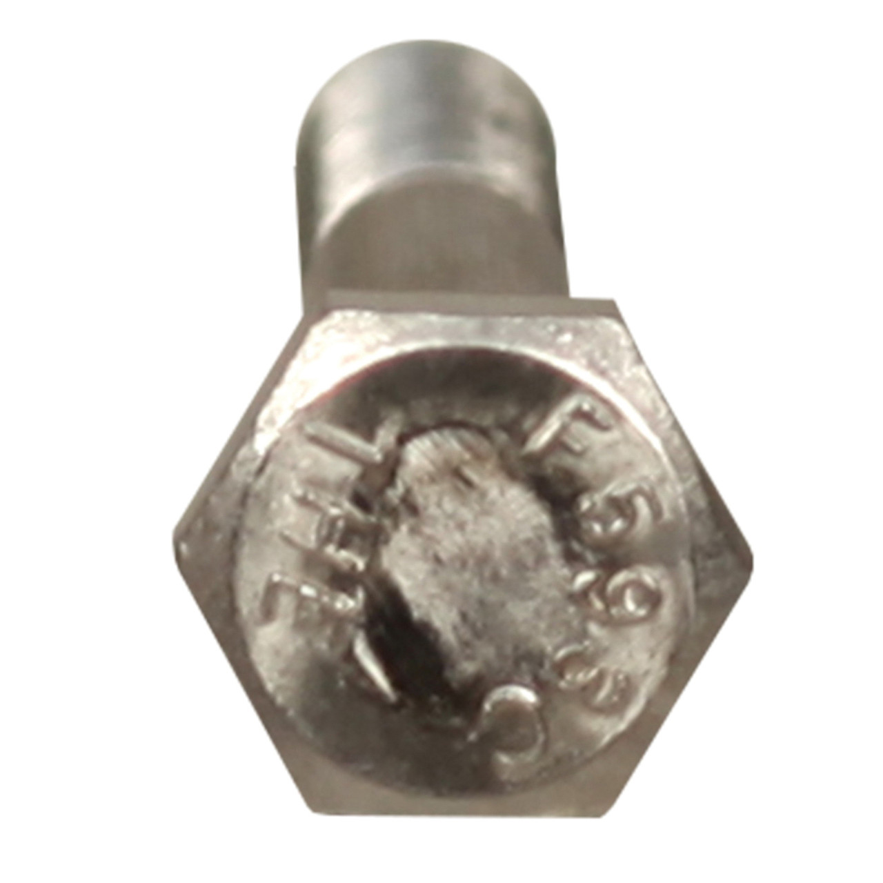 1/4 x 2 Inch Stainless Steel Hex Head Bolt