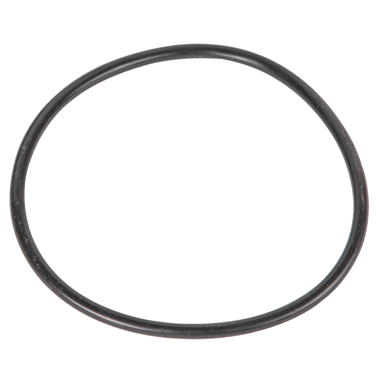 SPECK PUMPS Lid O-Ring