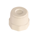 PVC Plug 3/4 Inch MPT