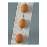 FeatherGlide Egg Belt, 1250 ft L x 0.063 in THK, Fabric, White