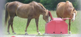 How to Heat a Water Trough Without Electricity