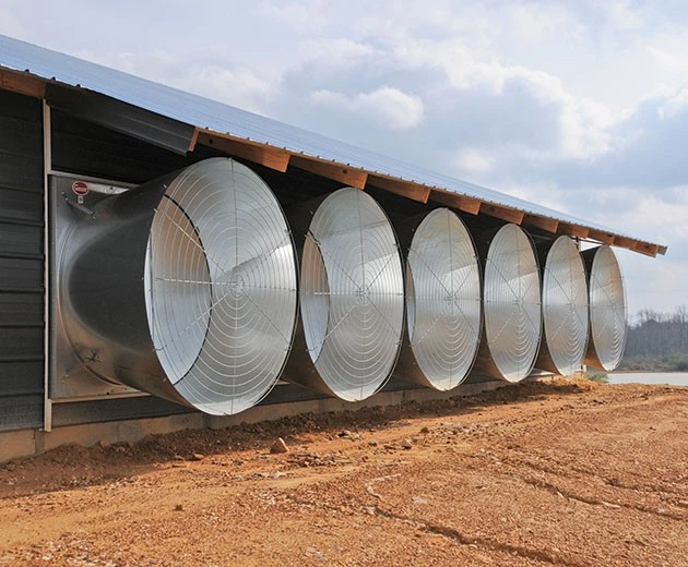 Poultry house tunnel ventilation exhaust fans