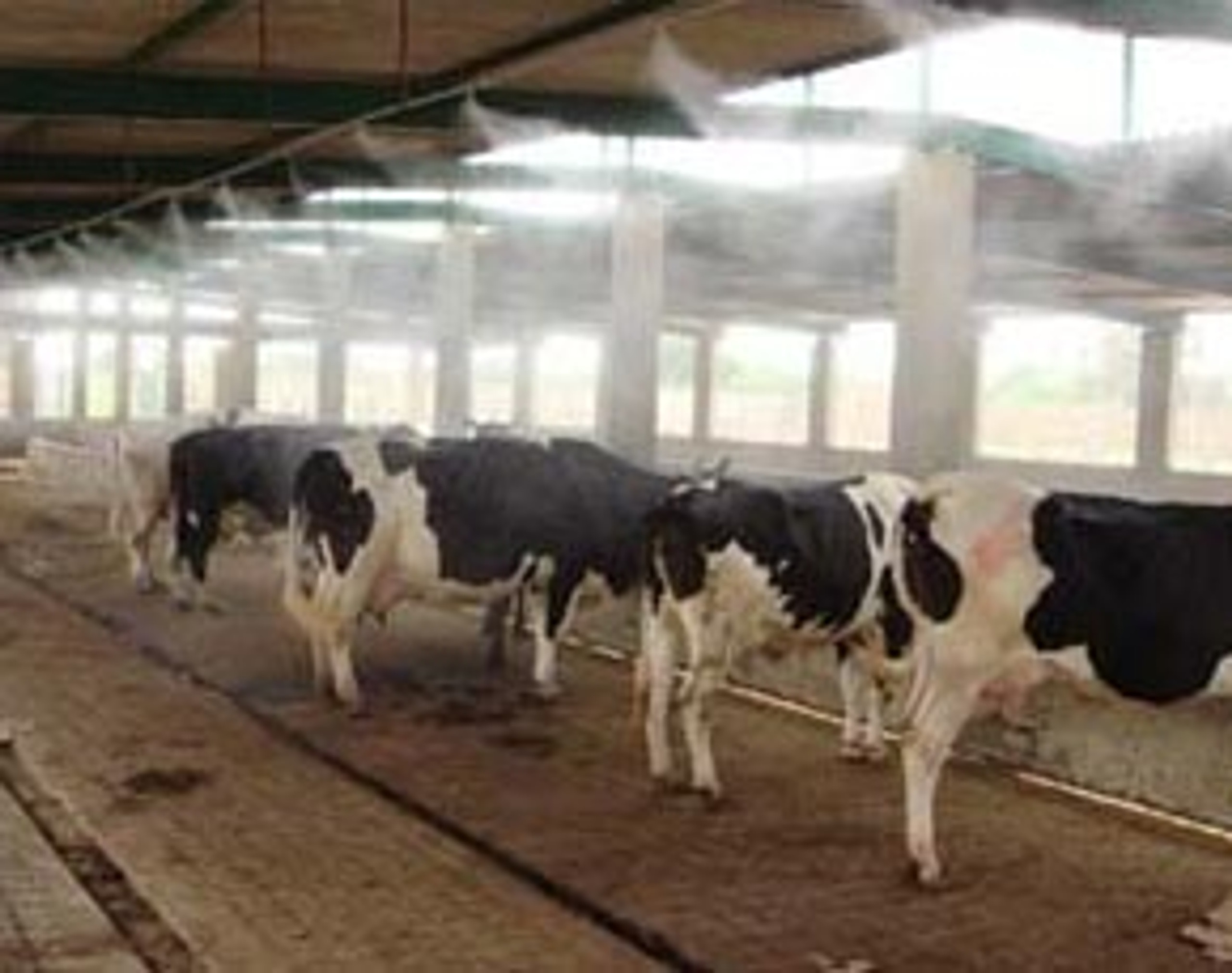 What Are Dairy Barn Foggers And How Are They Used? Farmer Boy